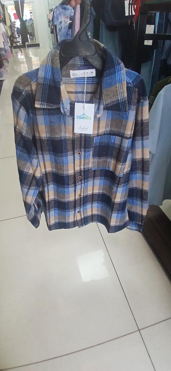 Zara Checked Flannel Shirt