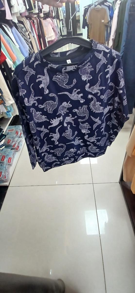 Dinosaur Printed sweat shirt
