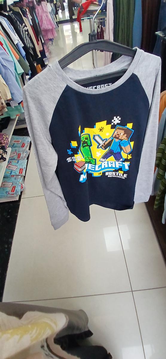 Minecraft Graphic Print Sweat Shirt