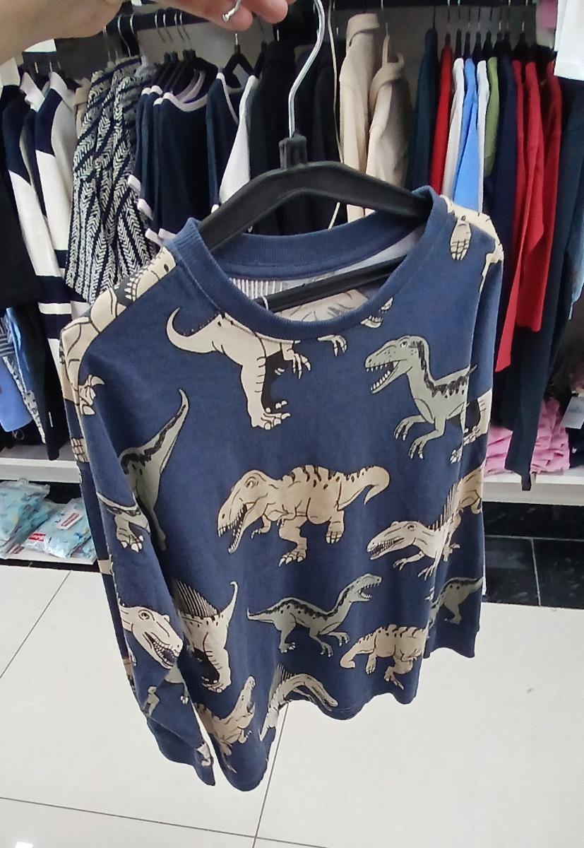 Kappahl Dino Print Cotton Sweatshirt