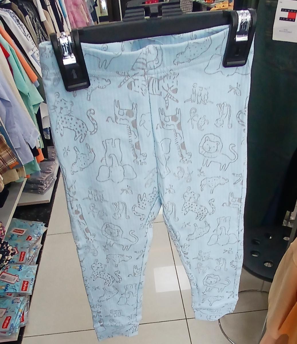 Baby Blue Animal Print trouser 