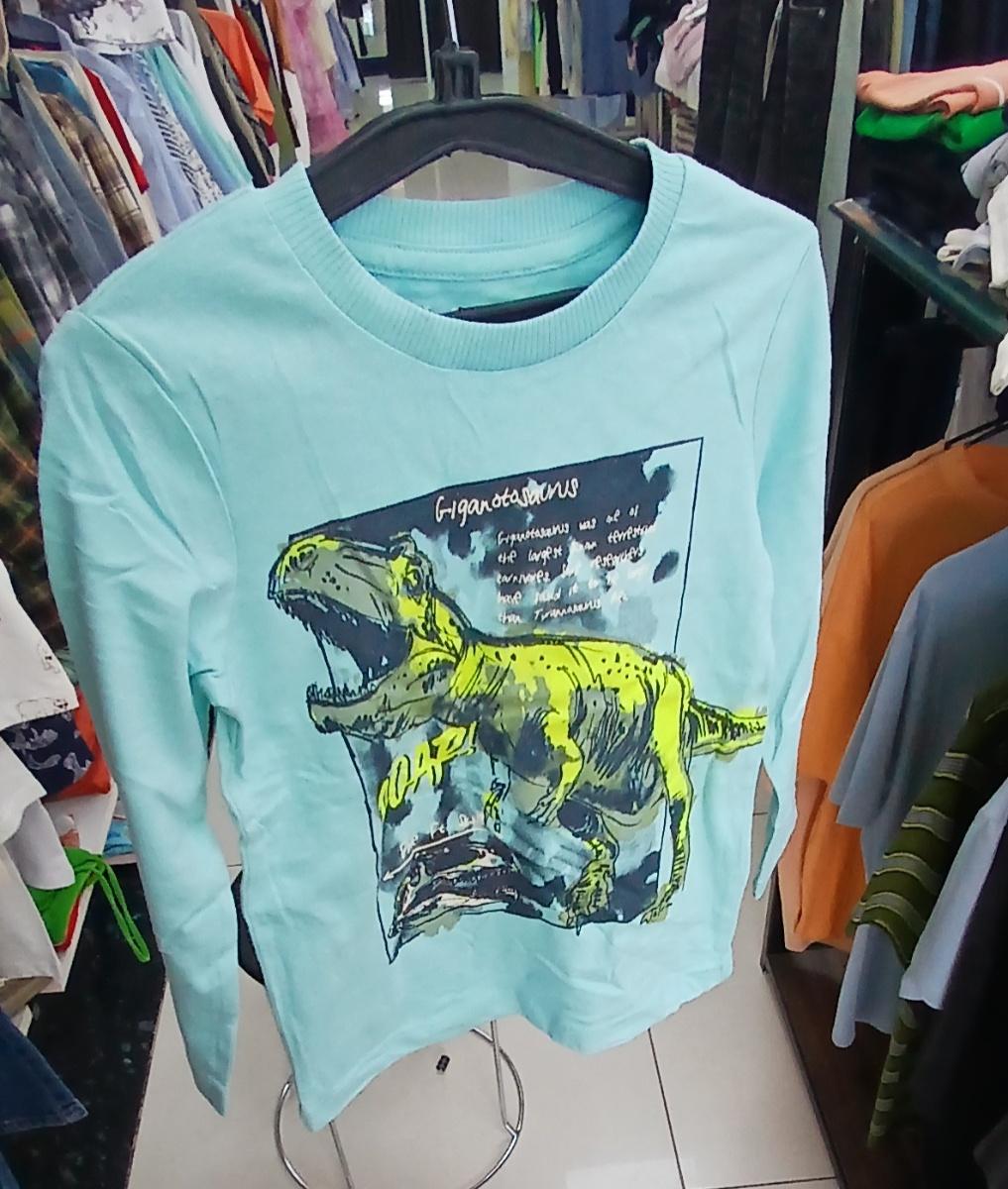 Nutmeg Pale Blue Dinosaur Print Long Sleeve Sweat-Shirt